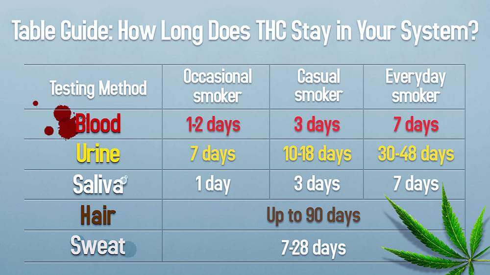 how-long-thc-stays-in-system-table