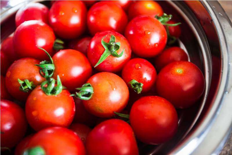 group-of-tomatoes