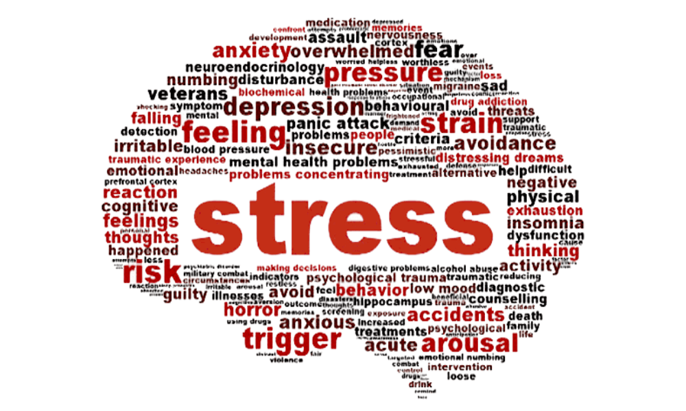 Stress words