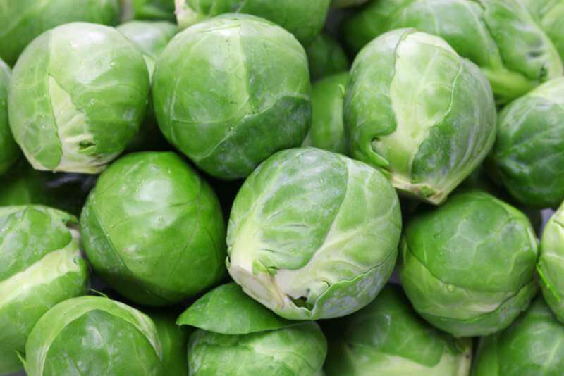 fresh-brussels-sprouts
