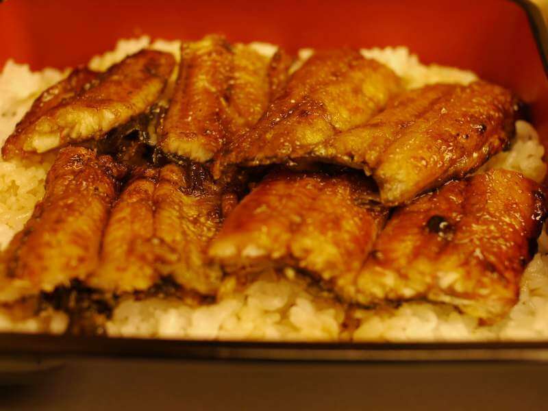 eel-broiled-food