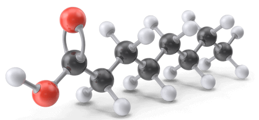 Caprylic-Acid-Molecule
