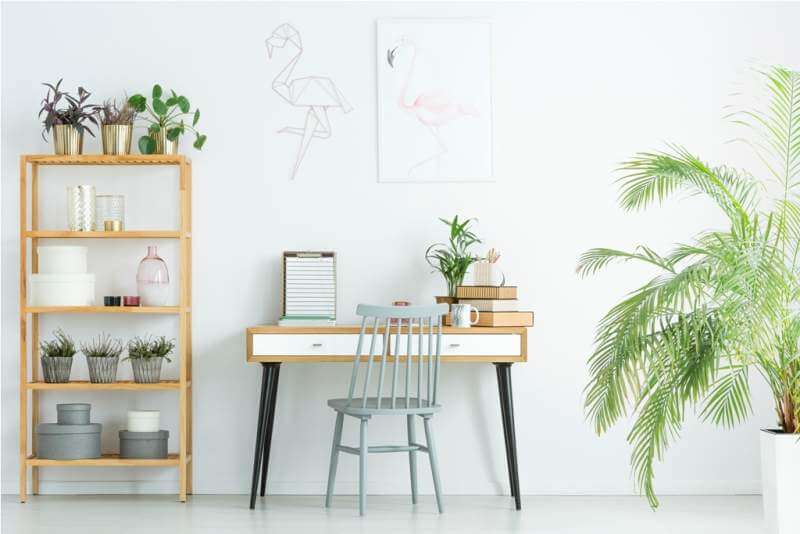 home-office-with-plants