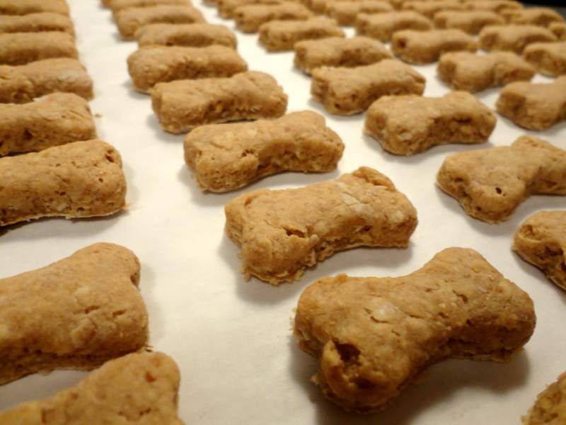 Easy Peanut Butter CBD Dog Treat Recipes – Keep Healthy Living