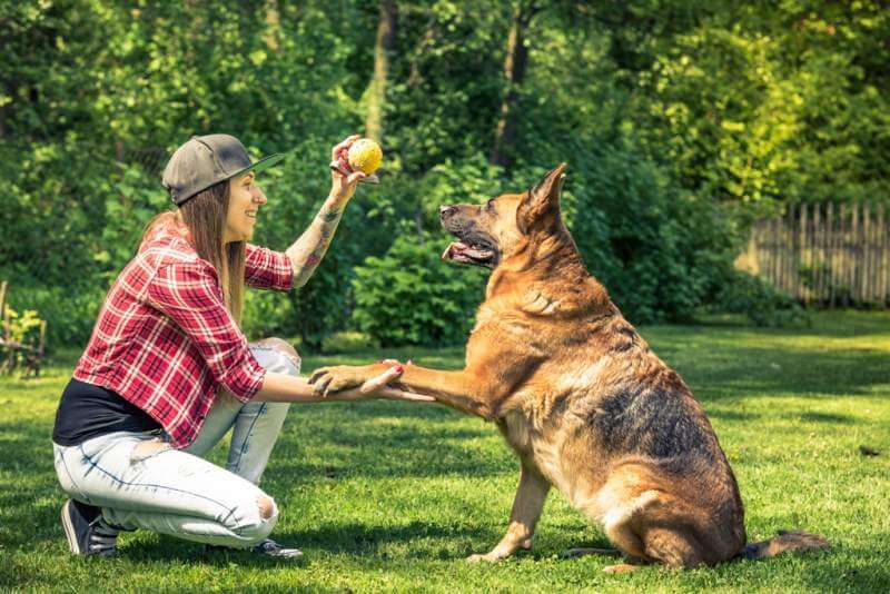 woman-and-dog-friendship-owner-and-pet
