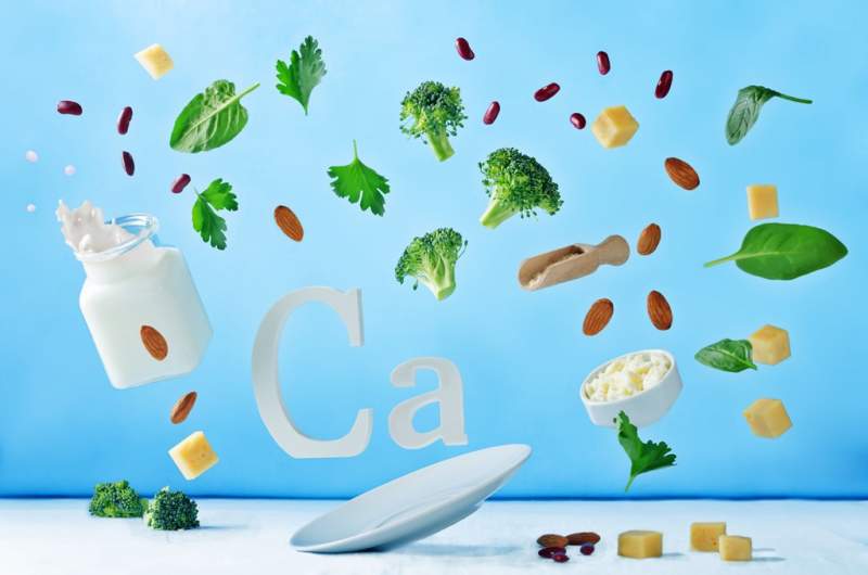 flying-foods-rich-in-calcium