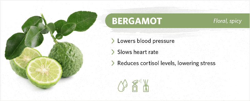 scents-to-help-you-sleep-bergamot