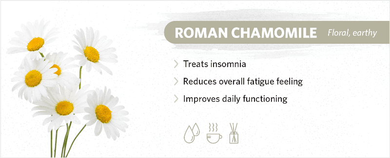scents-to-help-you-sleep-roman-chamomile