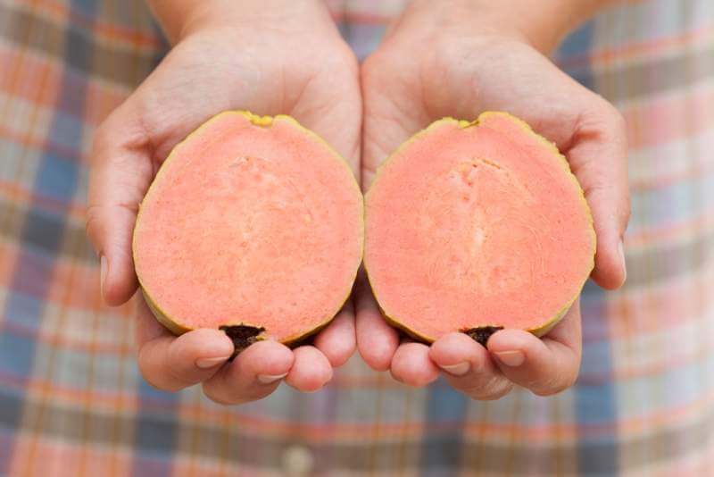 sliced-guava-fruit-in-womans-hands