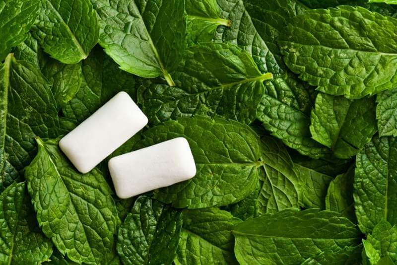 mint-leaves-and-chewing-gum